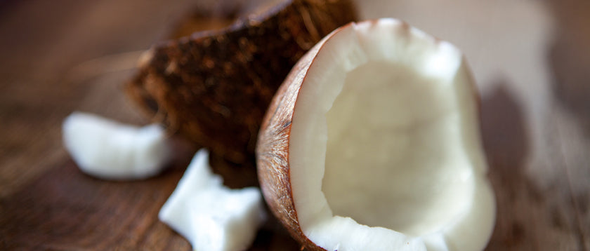 Kokospalme – Baum des Lebens