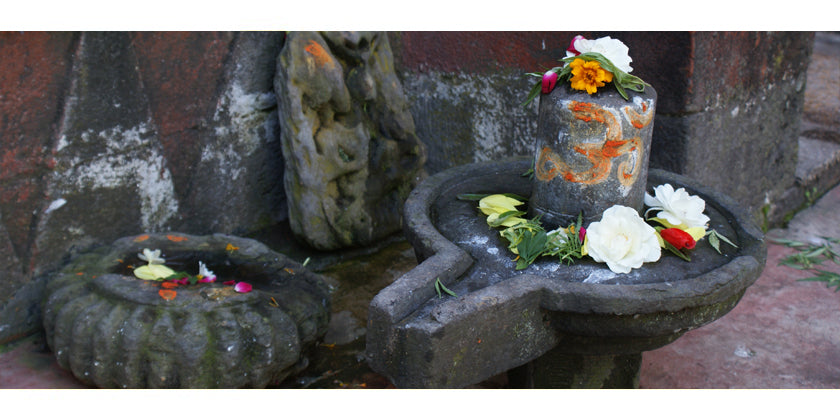 Was hilft bei Erektionsstörungen? Natürliche Potenzmittel aus dem Ayurveda