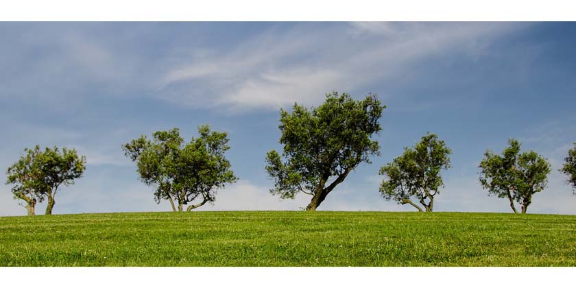 Nachhaltigkeit ist für uns kein Lippenbekenntnis 