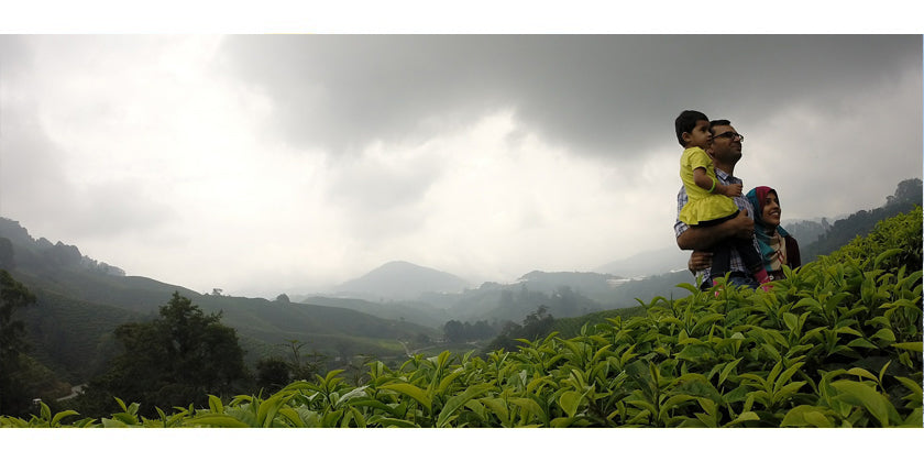 Diese Lieblingstees aus Nepal tun Gut(es)!