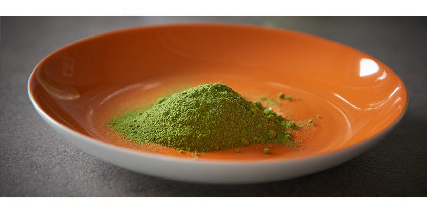 Moringa oleifera – Eigenschaften und Wirkung des Wunderbaums