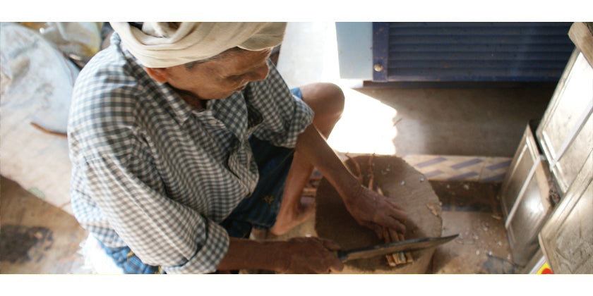 Shatavari – Wilder Spargel als ayurvedisches Aphrodisiakum und bei Kinderwunsch