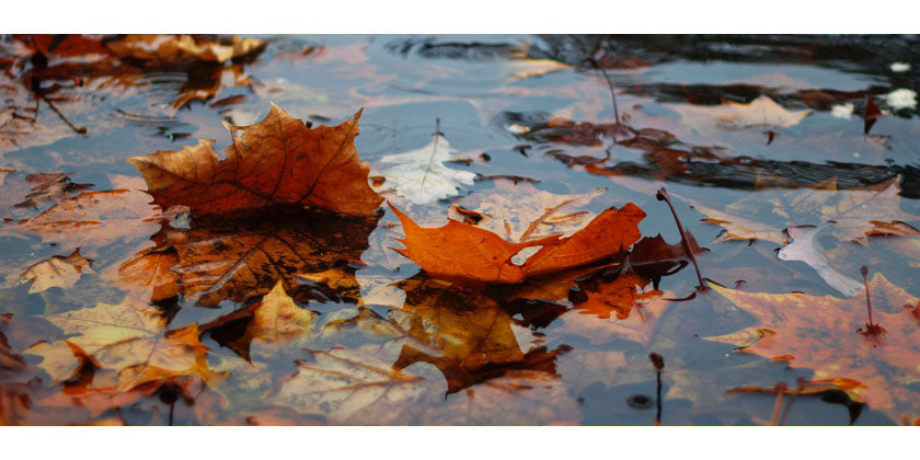 Die drei Arten von Husten im Ayurveda - ayurvedische Hausmittel