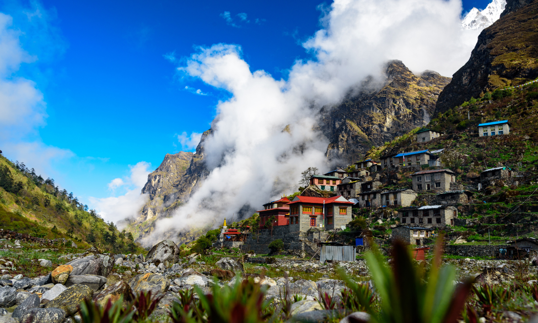 Diese Lieblingstees aus Nepal tun Gut(es)!