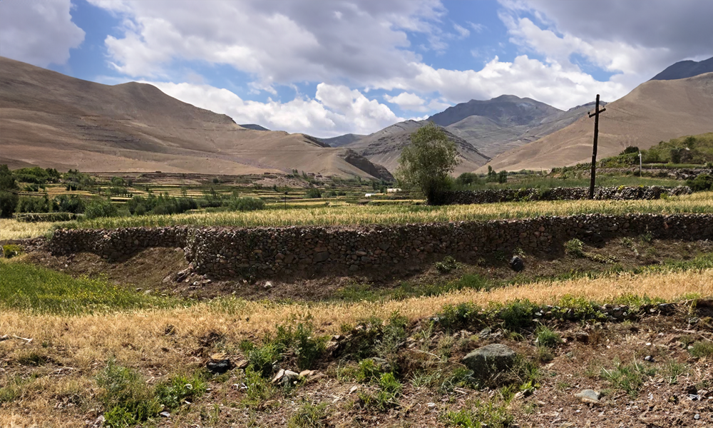 Tsampa: Das Geschenk des Himmels