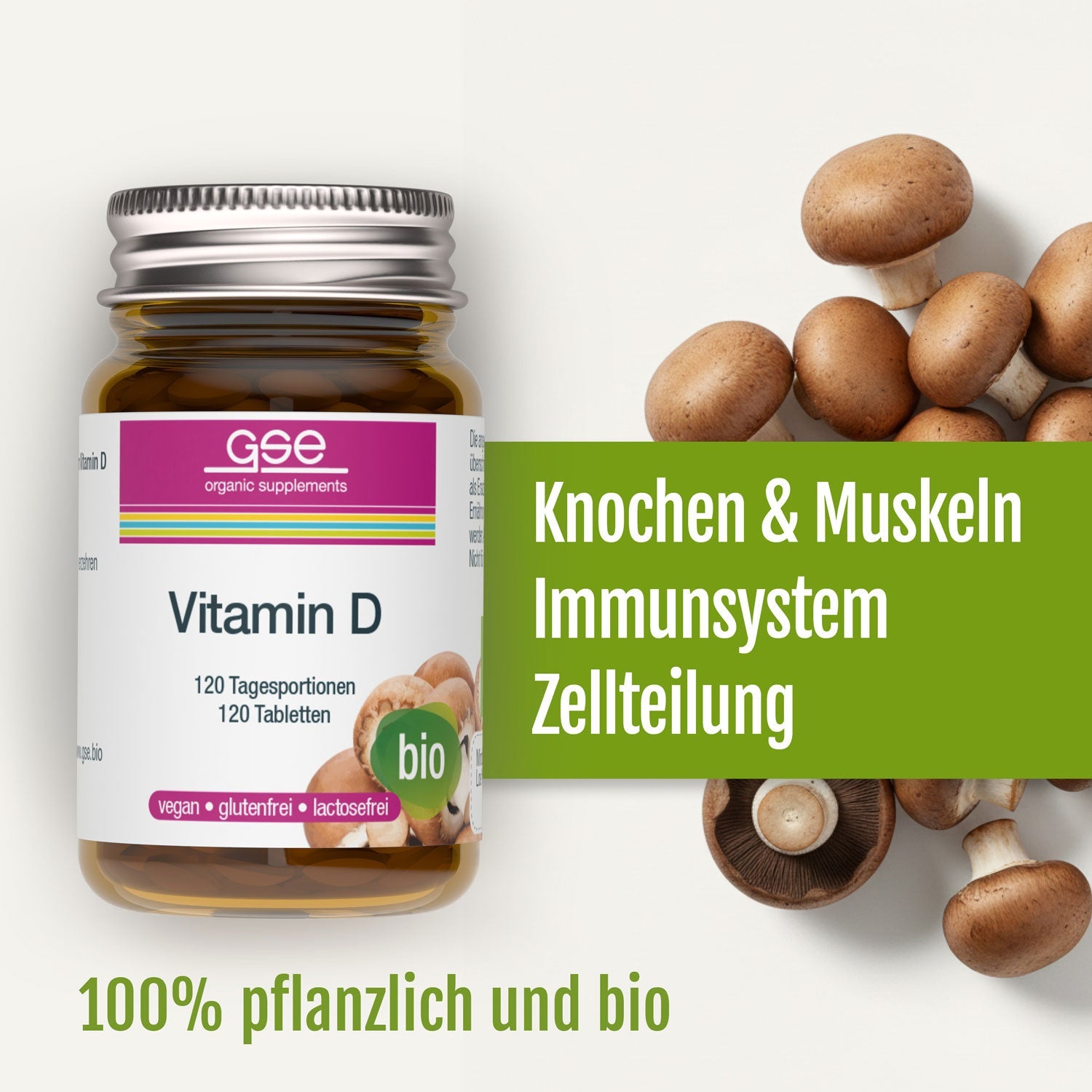 GSE - Bio Vitamin D - 120 Tabletten