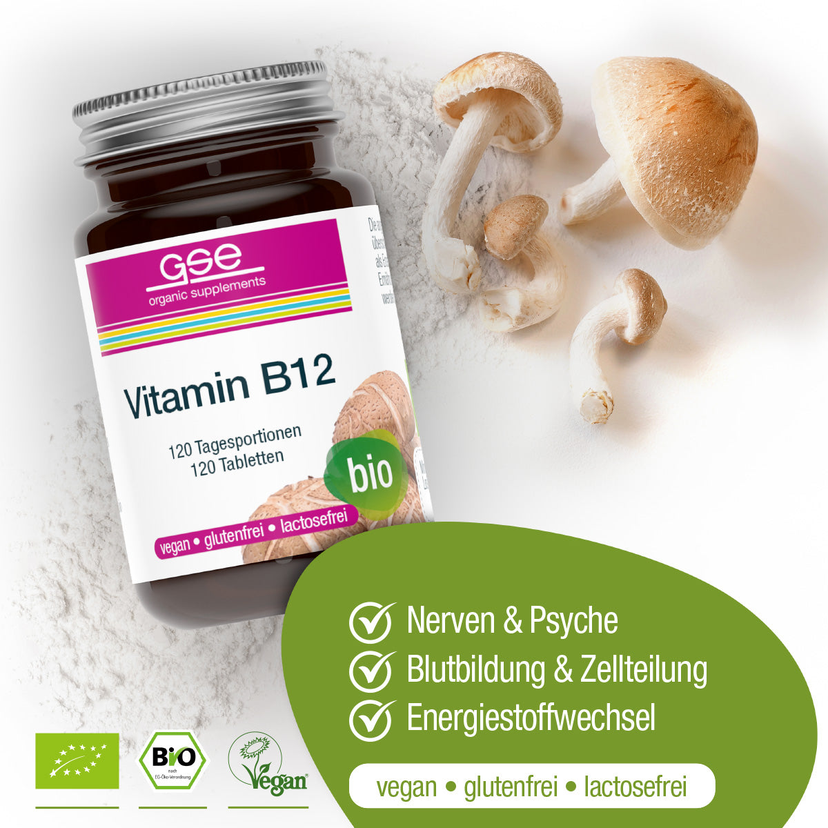 GSE - Vitamine B12 (Bio)