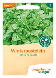 Bingenheimer Saatgut - Winterpostelein - 1g_7820.jpg