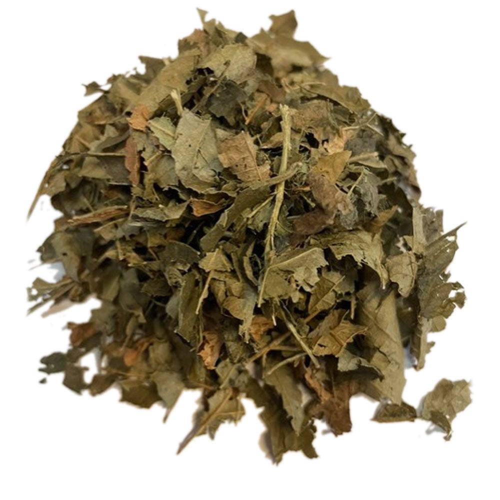 Miraherba - Foglie di Hamamelis tagliate